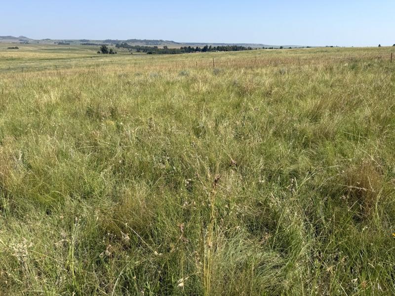 0 Bedroom Property for Sale in Bethlehem Rural Free State